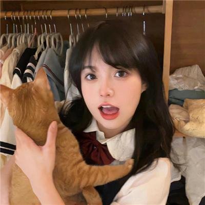 奇谋妙计多仔公